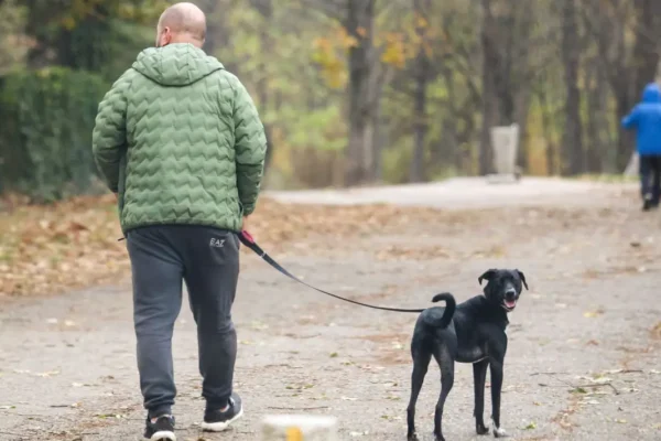 Столичния инспекторат предупреждава: 100 лева глоба за куче без повод на разходка
