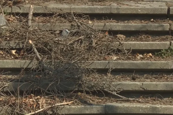 Паркът под Паметника на българо-съветската дружба във Варна се нуждае от подобрения