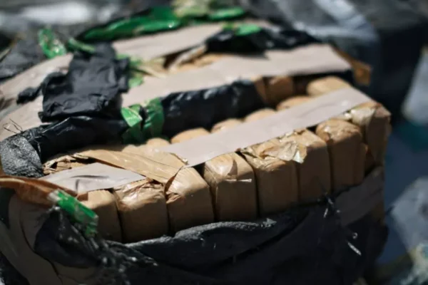 Пратка с банани и кокаин: В пристанище на Бургас откриха около 170 кг наркотици 