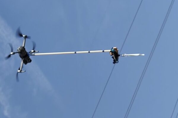 В Бургаско инсталират светлоотразителни маркери за птиците с дрон: Иновативни начини за запазване на застрашени видове