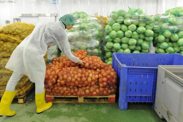 Варненки могат да получат до 10 000 евро финансова подкрепа за бизнес в селскостопанския сектор