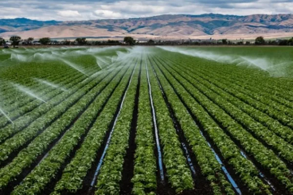 Стопаните ще получат финансова помощ за напояване на земеделски култури през 2024 г. 