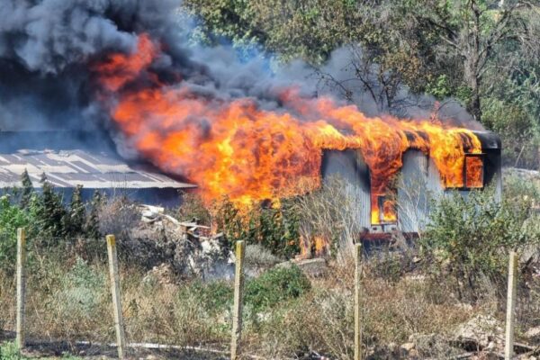 Овладяха пожар във Варненско: Огънят достигна вилната зона между Игнатиево и Доброглед