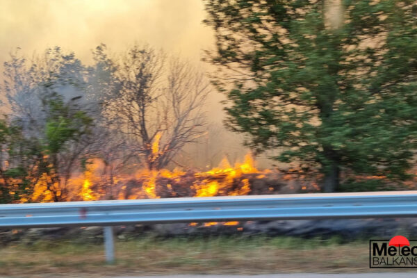 Обобщение на ситуацията с пожарите в България: