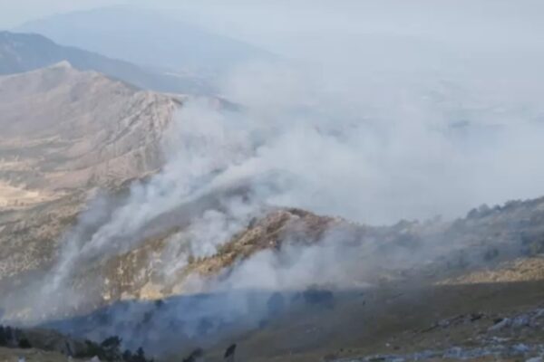Загасен е пожарът в Северна Гърция близо до граница с България