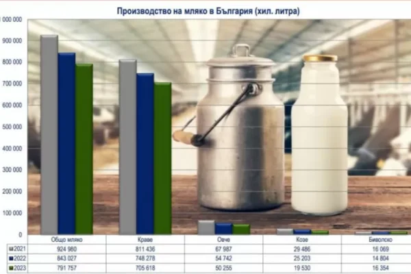 Бум на имитиращите млечни продукти в България на фона на спад в производството на истинско мляко.