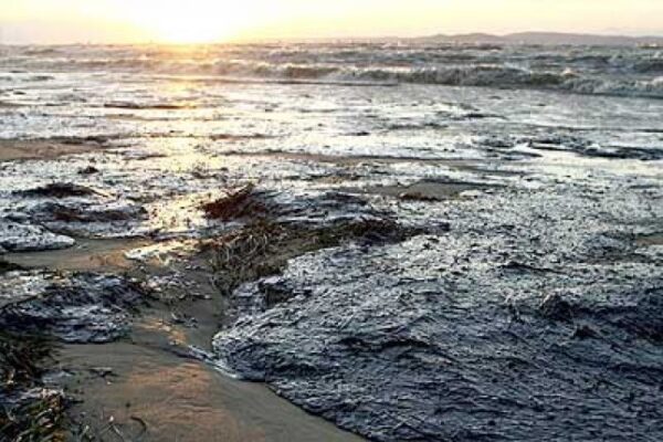 Експертите потвърдиха, че петролният разлив в Черно море няма да достигне до България