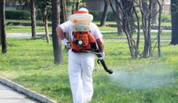 Масова обработка против кърлежи започва във Варна: График и мерки за безопасност.
