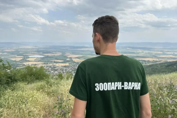 Екзотичен хищник край Шумен все още е на свобода: Издирването продължава