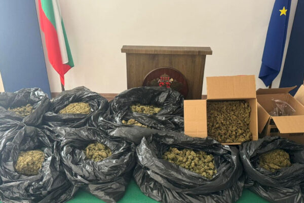 Заловиха над 12 кг марихуана при акция във Варна