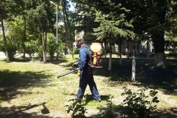 Във Варна започва нова кампания срещу вредители в обществените пространства