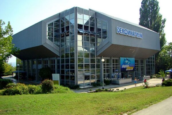 Честит рожден ден! Варненският делфинариум празнува 41 години.