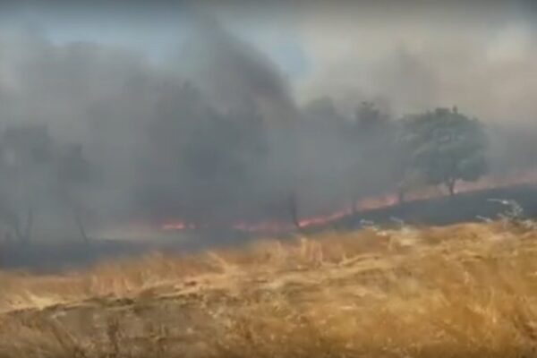 Огромен пожар в Българово: Вилна зона в пламъци, евакуират жители.