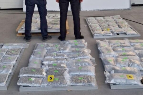Откритие на голямо количество марихуана в соларни панели на Митнически пункт Варна Запад.