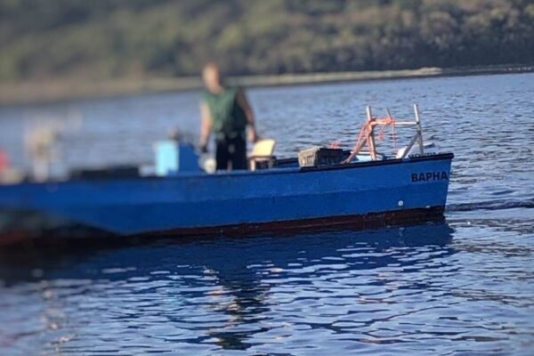 Нарушение при риболов край Варна: Инспектори на ИАРА върнаха улова в морето