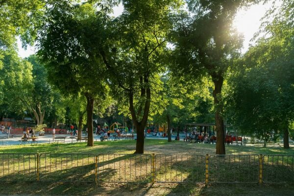 Варненци настояват за спешни мерки в „Ботева градинка“