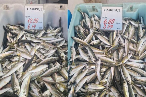 Сафрид – любимата храна по Черноморието.