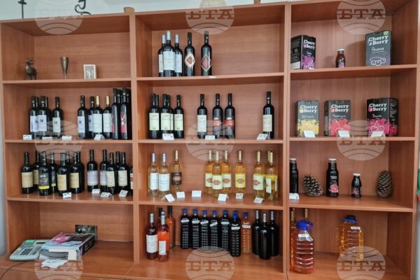 Пресконференция за началото на 9-та Глобална конференция за винен туризъм на Световната организация по туризъм на ООН в Пловдив.