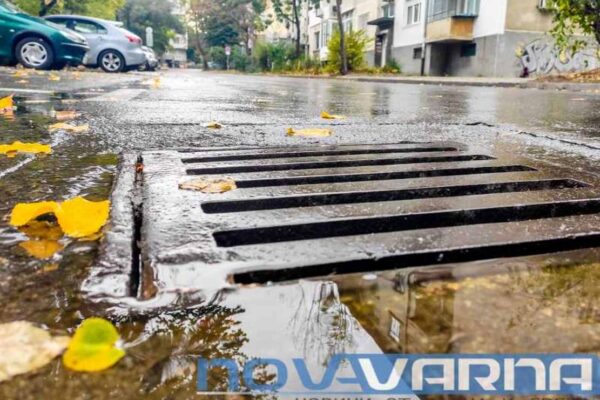 Варна започва есенната акция срещу гризачи – над 10 хиляди шахти ще бъдат обработени до края на годината