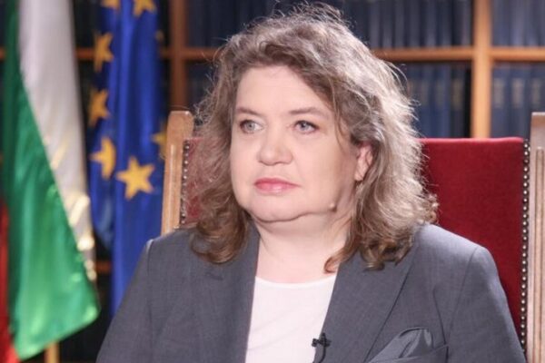 Бившият шеф на НС оспорва интерпретацията на КС за референдумите