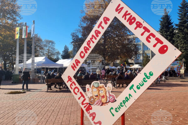 Генерал Тошево празнува: Празнична програма и културни събития през ноември.