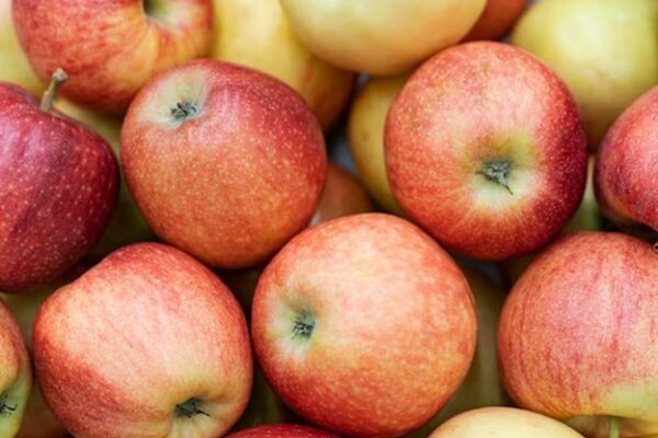 Българските ябълки поскъпнаха с над една трета за година заради слаба реколта