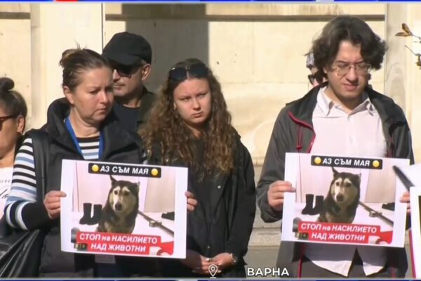 Варненци се събраха на акция срещу жестокостта към животни