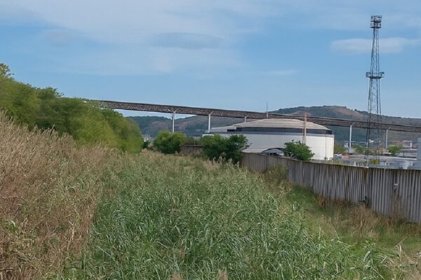 Областната администрация проверява речните легла във Варненска област