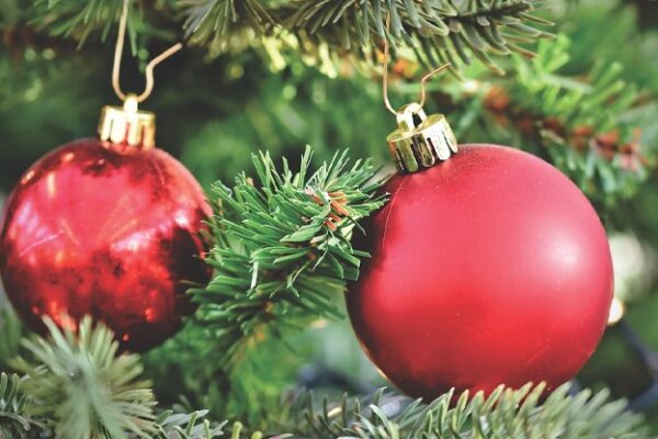 Декември ще донесе необичайно високи температури в България