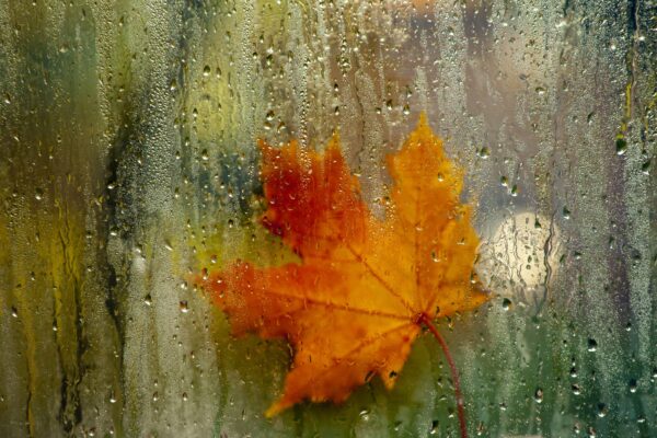 Студен фронт преминава през страната, очакват се валежи и понижение на температурите.