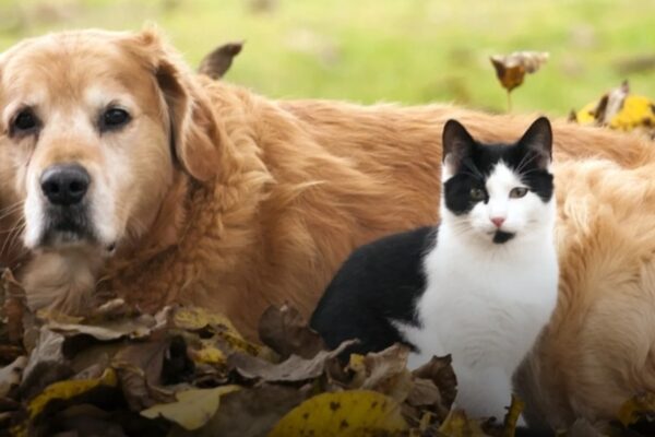 Ноемврийското време остава по-меко от обичайното до края на седмицата