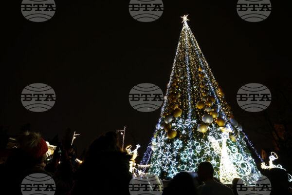 Коледната магия в София: Запалване на светлините на празничната елха на пл. “Св. Александър Невски”.