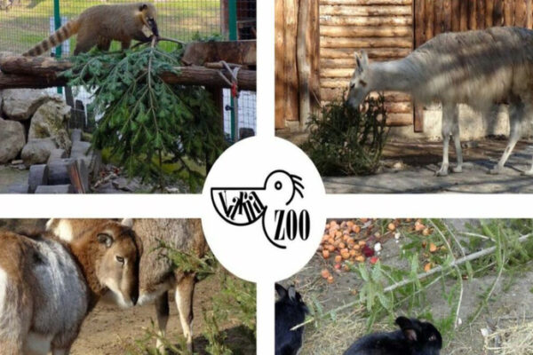 Варненският зоопарк приканва: Донесете коледната си елха