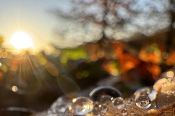 Прогноза за времето: Хладно утро и облаци, но без значителни валежи.