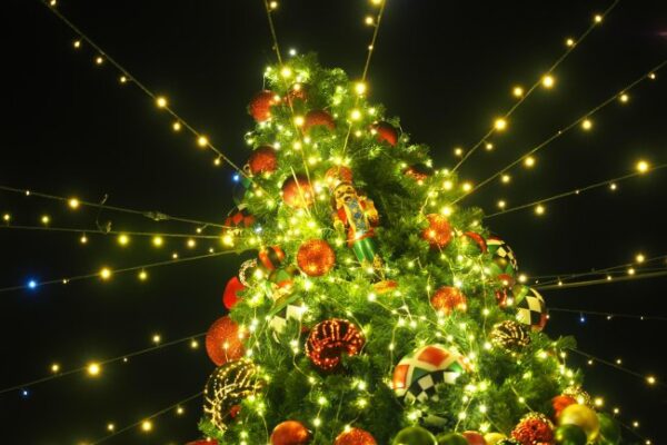 Зимна прогноза за януари: Студени нощи, затопляне и снеговалежи.