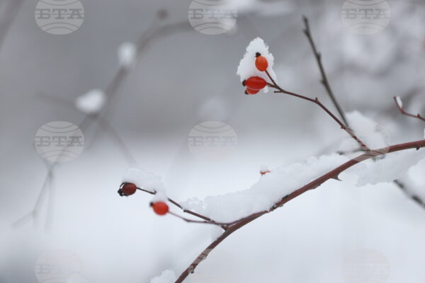 Зимното слънцестоене: Начало на астрономическата зима в България.