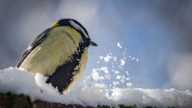 Прогноза за времето: Очакват ни мъгли, снеговалежи и поледици през уикенда.