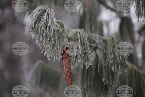 Студен фронт: Жълт код за ниски температури в 14 области на България.
