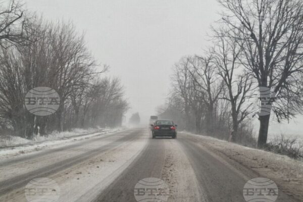 Зимни бури и лоши метеорологични условия предизвикват хаос в България.