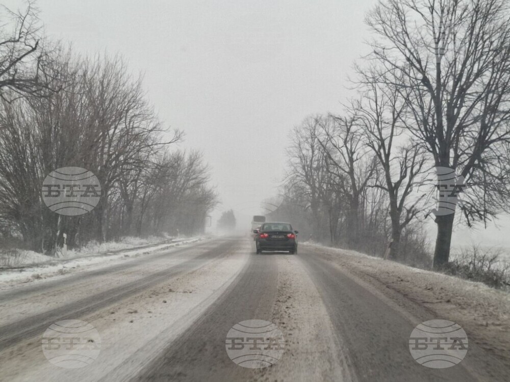 Зимни бури и лоши метеорологични условия предизвикват хаос в България.