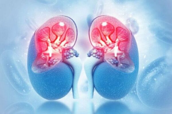 Безплатни профилактични изследвания и здравни консултации във Варна по повод Световния бъбречен ден.