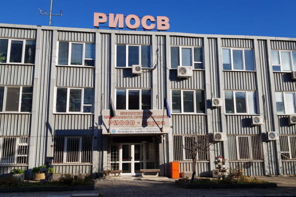 Мъртви птици край Шабла: институциите започнаха спешна проверка