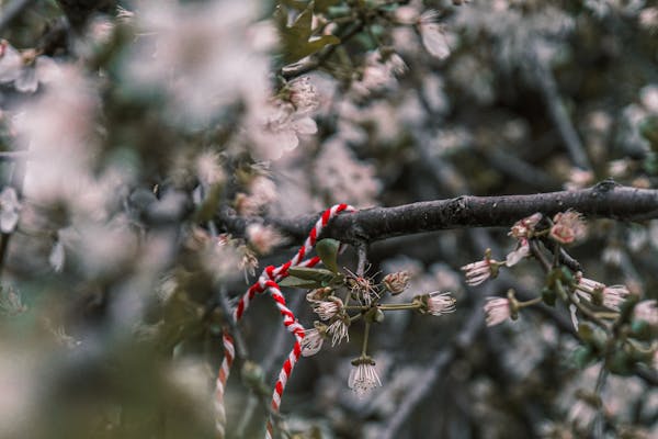 Март идва с по-топло време и умерени валежи