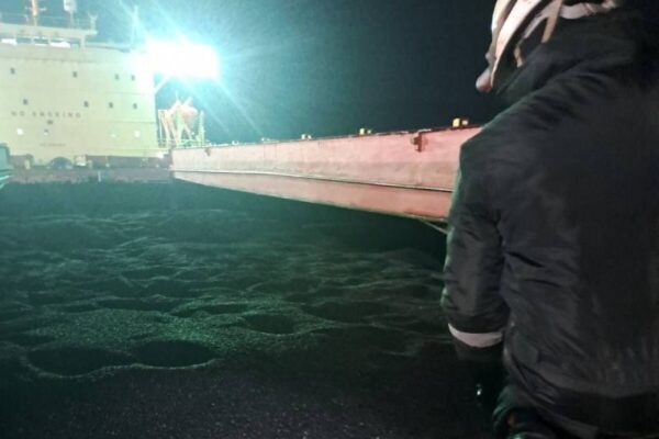 БАБХ: Открити опасни вещества в слънчоглед, доставен от Аржентина