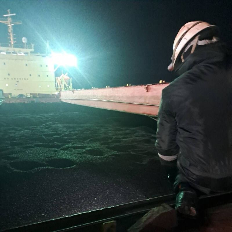 БАБХ: Открити опасни вещества в слънчоглед, доставен от Аржентина