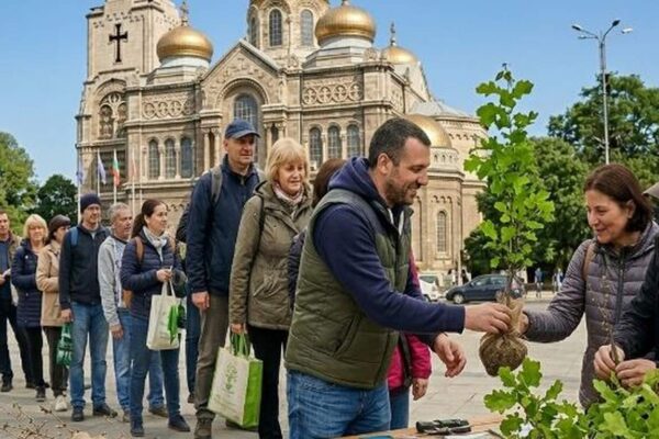 30 000 фиданки ще се раздават утре – освобождават пространство пред Катедралата