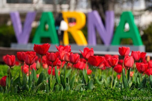 „Варненско лято“ с престижна награда за артистичен принос, фестивалният сектор във Варна остава стабилен.