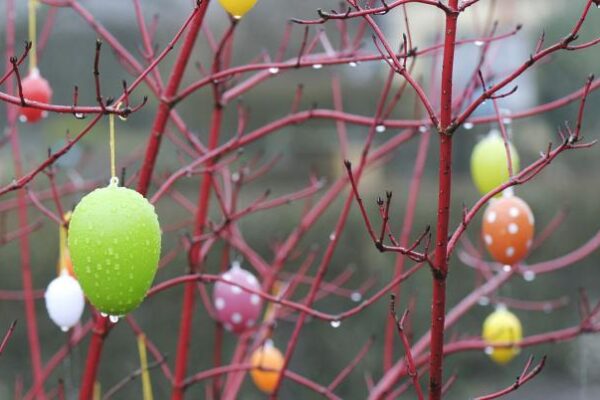 Валежи от дъжд и сняг в страната, по-студено в планините.