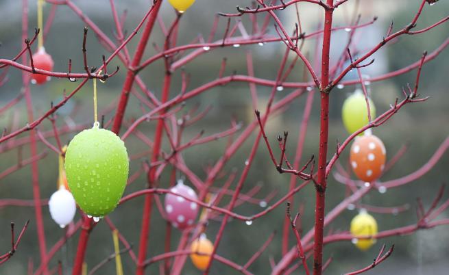 Валежи от дъжд и сняг в страната, по-студено в планините.
