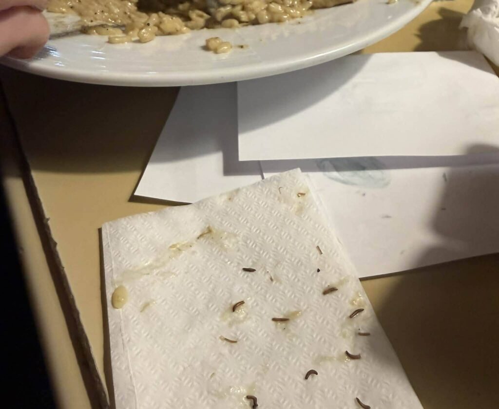 Скандал във Варна: ларви в храна и спорна реакция на персонала